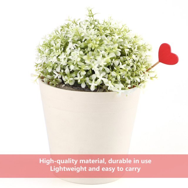 Plant Tag, Beautiful Price Tag Fruit Heart Shaped for Plant Name Tag for Flower Shop