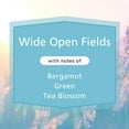 thumbnail image 3 of Mainstays Wide Open Fields, 3 Wick Candle, 11.5 oz, 3 of 10
