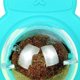 thumbnail image 3 of Catnip Ball Pets Gato Oso Caracol Lamiendo Bolas Dientes Limpieza Juguete (Gris) Tmvgtek Para estrenar, 3 of 9