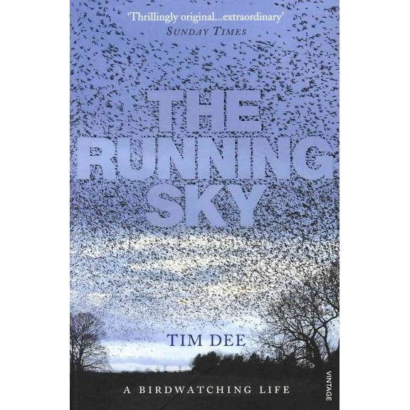 The Running Sky