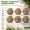 10" Hexagon, variant on Natural River Rock Garden Pavers, Set of 6 Round Pebble Stones for Walkway, Lawn, Patio, Yard, Pathway & Landscaping Decor