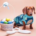 thumbnail image 4 of Traje de recuperación de cirugía canina Kuoser para perros machos hembras, 4 of 7