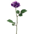 thumbnail image 4 of Allstate Long Stem Artificial Blooming Rose Spray - 23" - Purple, 4 of 9