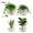 4pcs, variant on DZORUN Wall Vases Hanging Planter Propagation Station Clear Terrarium Wall Glass Vase for Flowers Hydroponics Plant Home Office Decor Present 4Pcs