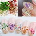 thumbnail image 4 of Gustavedesign 12 Colors Nail Dried Flowers, 3D Nail Art Sticker DIY for Tips Manicure Decor Mixed Accessories, Starry Leaves Flower Box Set, 4 of 8