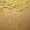 Gold Plate, variant on 100Pcs/500Pcs Earring Hook Coil Ear Wires for DIY Jewelry Making Findings Repair