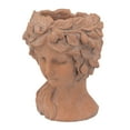 thumbnail image 4 of 8" X 9" Brown Greek Bust Planter, Cement Head Planter for Indoor & Outdoor Decor, 4 of 15