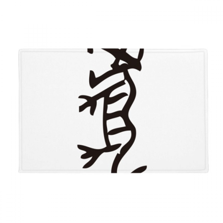 Bones Inscriptions Chinese Zodiac Tiger Ground Mat Non Slip Floor Bathroom Door Rug Carpet