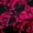 Black Hotpink, variant on Manfei Retro Damask Print Blackout Curtains,Vintage Baroque Flower Curtains Pack of 2 (38x45 Each),Gold Purple Window Curtains For Men Women,Super Cozy Room Decor