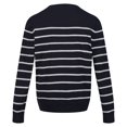 thumbnail image 2 of Regatta - Jersey Cautley de Rayas de Punto para Hombre (Marino, Gris Plateado), 2 of 6