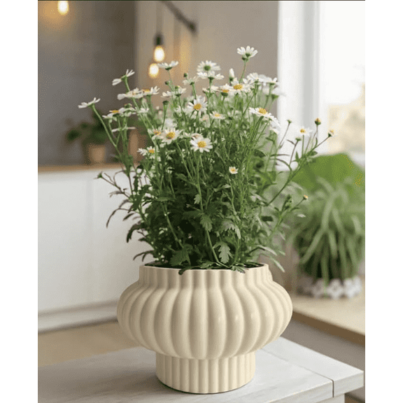 Ribbed Beige Porcelain Flower Pot with 2 Count