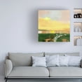 thumbnail image 3 of Melissa Wang 'Wetland Sunrise IV' Canvas Art, 3 of 4