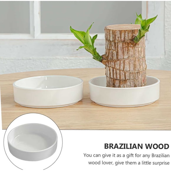 EQWLJWE Brazilian Wood Pallet,Brazilian Wood Tray White Plastic Plates Desk Decoration Plants Pot Bottom,Desk Planter for Office Plant, Garden Trays Plant Pot Trays Ceramic Potted Plants