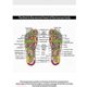 thumbnail image 4 of Electric Foot Stimulator Massager EMS Feet Massage Mat Full Circulation Booster USB Rechargeable Foot Massager For Neuropathy Feet, 4 of 5