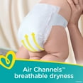 thumbnail image 6 of Pampers Swaddlers Soft and Absorbent Diapers, Size 4, 66 Ct, 6 of 12
