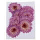 thumbnail image 2 of Variedad de hojas secas para la fabricación de papel en el sector del bricolaje. Margarita púrpura, 2 of 9