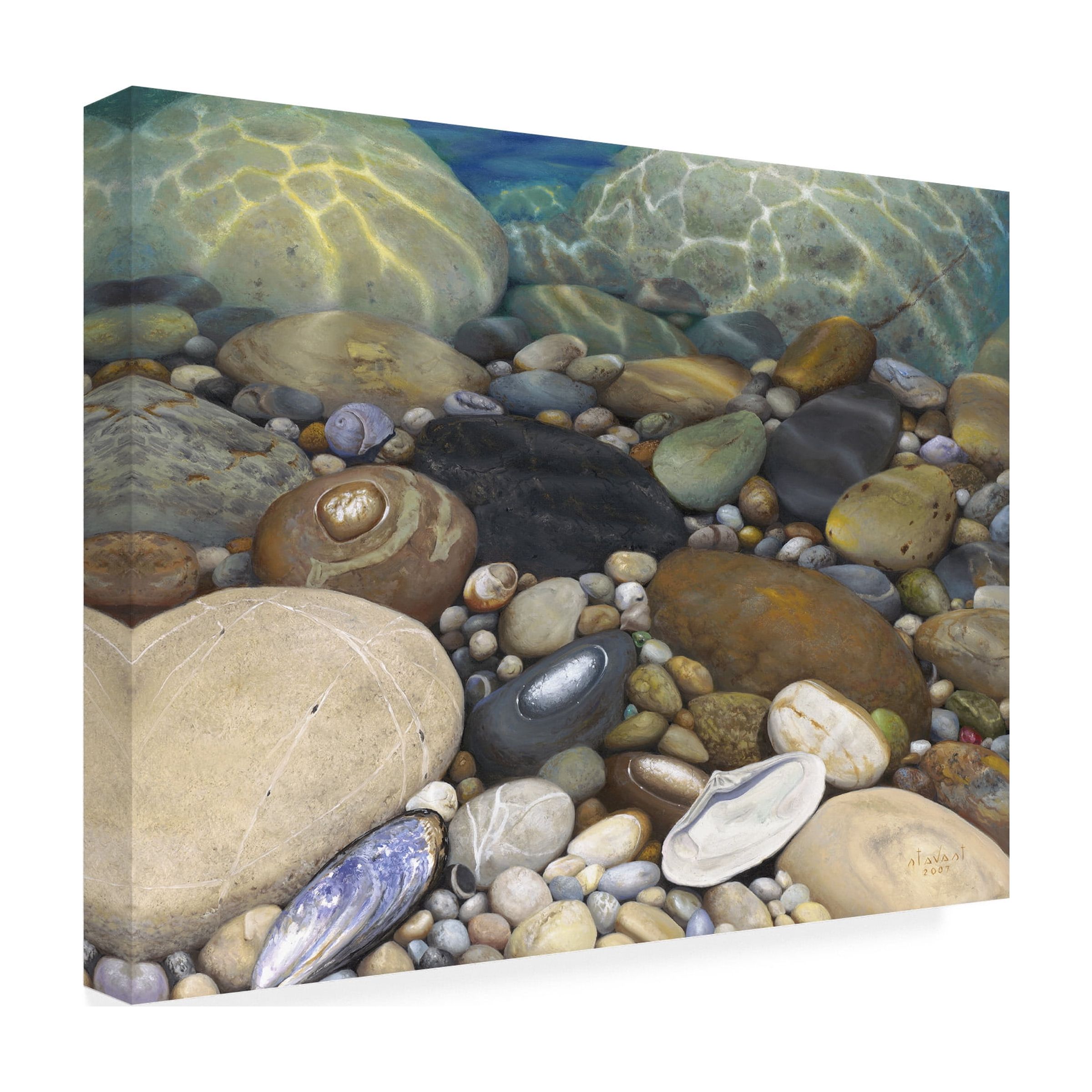 Stephen Stavast 'Shoreline Treasures' Canvas Art