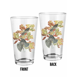 SJENERT Drinking Glasses, Acrylic Glassware, 16.9oz Colored Plastic Tumblers  Cups, Picnic Water Glasses, Unbreakable Juice Drinkware(2PCS-Transparent) 