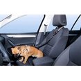 thumbnail image 5 of Reposacabezas para perros ZHAOCHENG cinturón de seguridad ajustable con amortiguador elástico, 5 of 5
