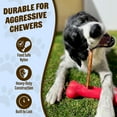 thumbnail image 7 of GoSports Chew Champ Bully Stick Holder for Dogs - Securely Holds Bully Sticks to Help Prevent Choking - 8 Inch, 7 of 7