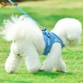 thumbnail image 6 of Spencer No Pull Dog Cat Harness Pet Vest Adjustable Reflective No Choke with Leash Mesh Soft Corduroy for Small Dog Cat Outdoor Walking Travel "Blue, M", 6 of 10
