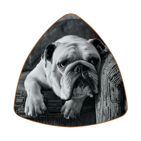 

Coasters for Drinks Leather Coasters Tabletop Protection Mat 6-Pc Dog Sofa Cute Pet