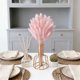 thumbnail image 4 of 60 Piezas Colas Falsas de Conejo Tallos de Hierba Pampa - Ramas Florales Secas Rosa y Blanco, 12.6 Pulgadas Centro de Mesa para Bodas Boho, Juego de Decoración para el Hogar con Jarrón, 4 of 6