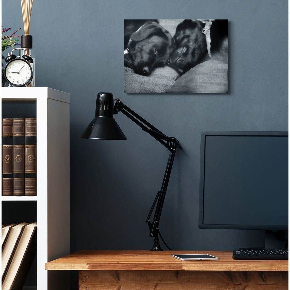 Stupell Industries Cute Cuddle Dog Pet Animal Black And White Photo Canvas Wall Art by Villager Jim