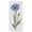 Blooming Blue Poppy, variant on Stupell Industries Shabby Chic Dogwood Flowers & Bird Black Floating Frame Canvas Art, 11 x 25, by Nan