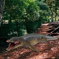 thumbnail image 4 of Juguete de Dinosaurio Marino de Natación Realista Sunnimix Colección de Plástico educativo Kronosaurus, 4 of 8