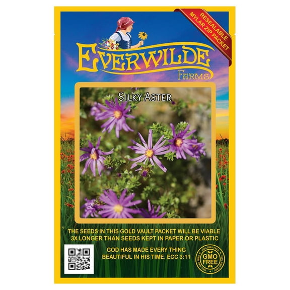Everwilde Farms - 250 Silky Aster Native Wildflower Seeds - Gold Vault Seed Packet
