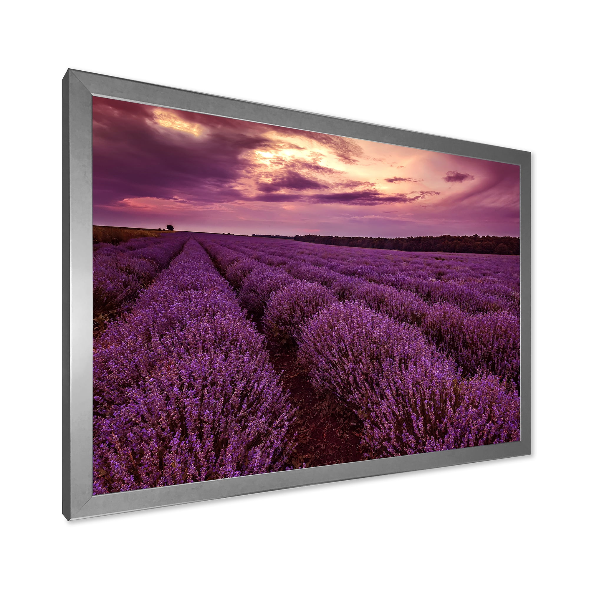 Designart 'Dramatic Clouds and Sunrise Over Lavender Field III' Farmhouse Framed Art Print