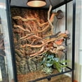 thumbnail image 6 of 2PCS Reptile Wood Branches Decor Lizard Habitat Decoration Snake Climbing Branch Accessories Terrarium Tree Trunk Ornament for Bearded Dragon Gecko Frog Chameleon Spider, 6 of 6