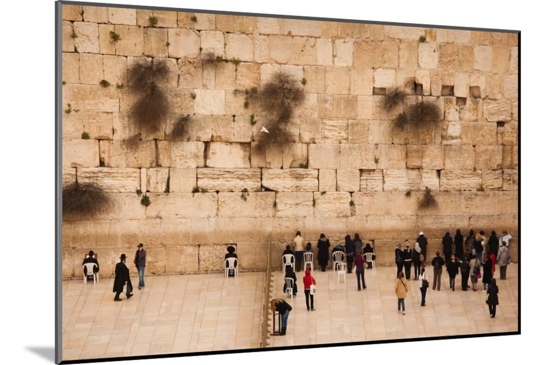 Elevated View Of The Western Wall Plaza With People Praying At Wailing Jewish Quarter Wood Mounted Print Art