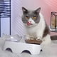 thumbnail image 4 of Cuencos para gatos, cuencos elevados para comida para gatos, cuencos dobles para gatos con 15 platos elevados inclinados para gatos, cuenco de alimentación para mascotas para gatos, 4 of 4