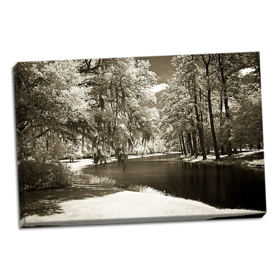 Gango Home Decor Pines Along The Stream by Alan Hausenflock (Ready to Hang); One 36x24in Hand-Stretched Canvas