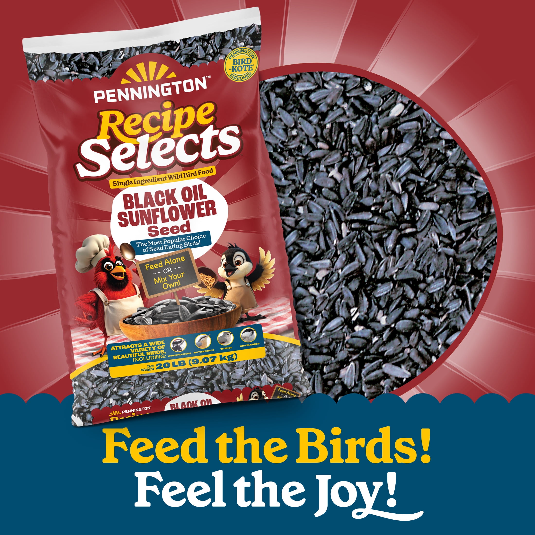 Pennington Recipe Selects Black Oil Sunflower Seed Dry Wild Bird Feed, Bird Food, 20 lb. Bag, 1 Pack