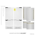 thumbnail image 5 of ZLINE RBIVZ-304-60-G refrigerator, 5 of 5