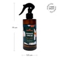 thumbnail image 2 of Home Spray Way To Celebrate Bosque Ámbar 210 Ml, 2 of 4
