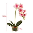 thumbnail image 3 of ZFSBZBS 13in Artificial Orchid Flower in Pot, Silk Orchid Arrangement with Glass Vase,Silk Phalaenopsis Indoor Decor for Home Table Centerpiece F, 3 of 5