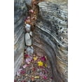 thumbnail image 2 of Rotenberg, Nancy 11x14 Gold Ornate Wood Framed with Double Matting Museum Art Print Titled - UT, Zion NP Canyon crevice with fallen leaves, 2 of 4