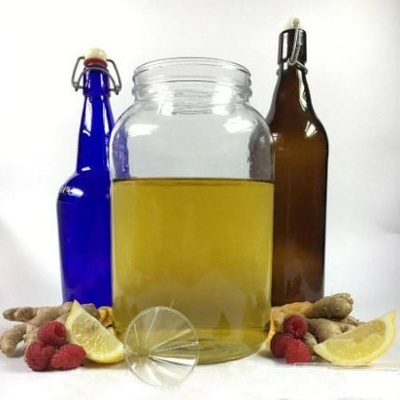 Artisan DIY Kombucha 2 Gallon Brewing Kit Learn How to Make Home Made with Probiotic scoby to Improve (Best Kombucha Starter Kit)