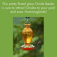 thumbnail image 2 of Audubon-Woodlink 991013 Decorative Glass Oriole Feeder, 2 of 3