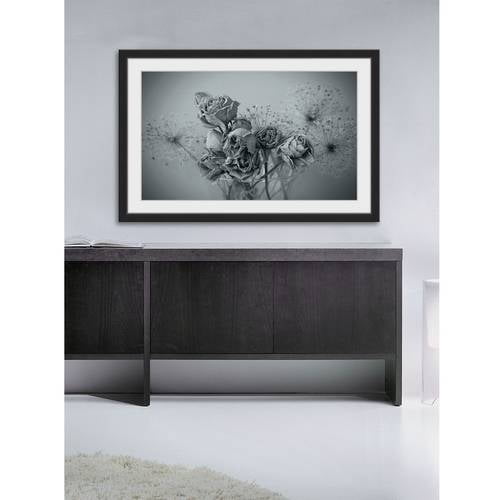 Roses in Slumber Framed Painting Print