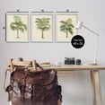 thumbnail image 3 of Stupell Industries Les Palmiers Botanical Trio Botanical & Floral Painting White Framed Art Print Wall Art, 16 x 20, Set of 3, 3 of 9