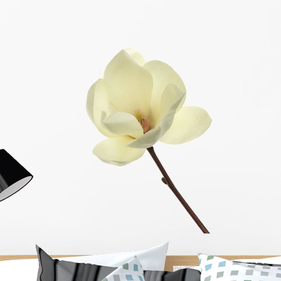 Magnolia Heptapeta Wall Decal by Wallmonkeys Peel and Stick Graphic (24 in H x 16 in W) WM213545