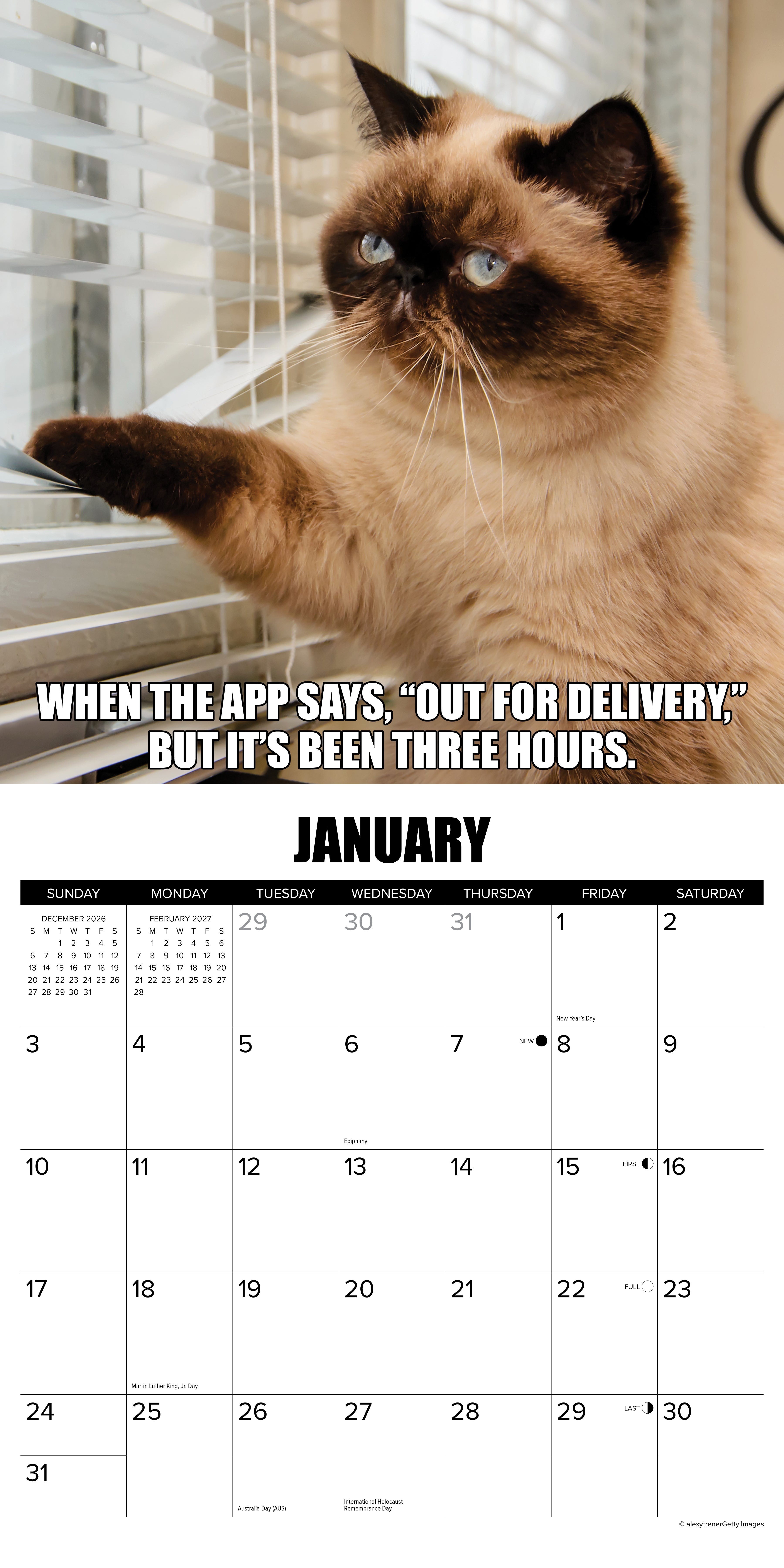 Willow Creek Press, Cat-astrophe 2027 Wall Calendar
