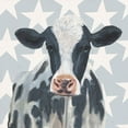 thumbnail image 3 of Borges, Victoria 15x15 Black Modern Framed Museum Art Print Titled - Patriotic Farm II, 3 of 5