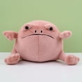 thumbnail image 1 of Caraele La Grenouille de Pluie Ricky Est un Animal en Peluche Laid et Mignon, 1 of 5