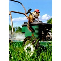 Avanti Press Chipmunk Lawnmower Cute Funny Father's Day Card